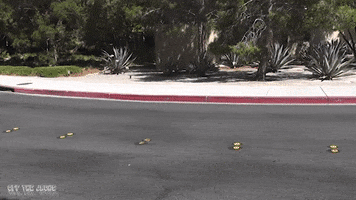 classic car chevrolet GIF by Off The Jacks
