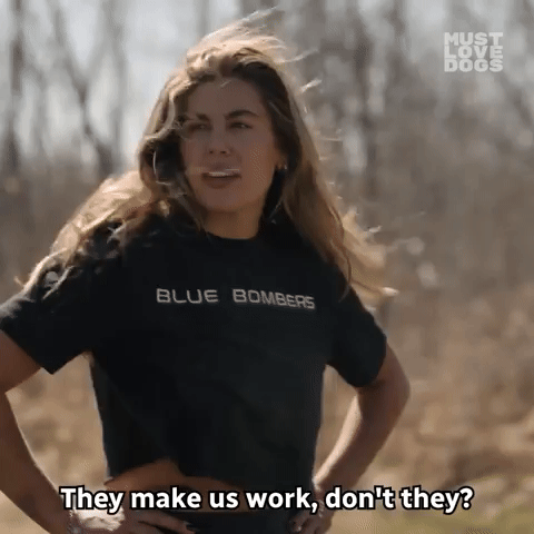 Work For It Must Love Dogs GIF by Omnifilm