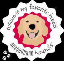 Golden Retriever GIF by Secondhand Hounds