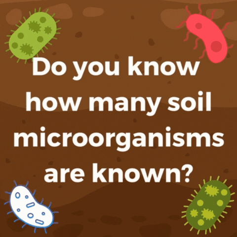 Illustration Microorganisms GIF by Conscious Planet - Save Soil