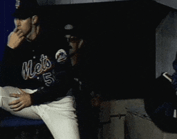 New York Mets Baseball GIF