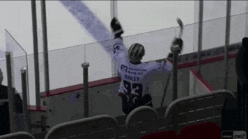 Bailey Applause GIF by Iserlohn Roosters