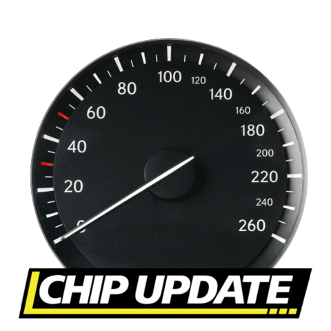 CHIP UPDATE Sticker