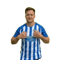 DMZWeinstadt Sticker