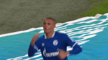 Get In Lets Go GIF by FC Schalke 04