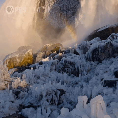 Explore Winter Wonderland GIF by Nature on PBS