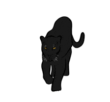 지니 Bae Suzy GIF by yemsstudio