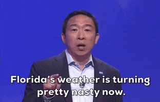 Andrew Yang Florida GIF by GIPHY News
