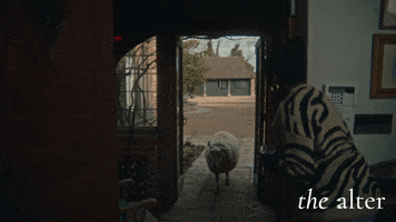 200.gif?cid=fc005b08fb3fc17314a7c724da54a28f57e7d6b2bd73193b&rid=200.gif&ct=g