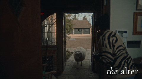 Get Out My House GIFs - Get the best GIF on GIPHY
