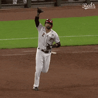 home run baseball GIF by North Coast Authentic - Find & Share on