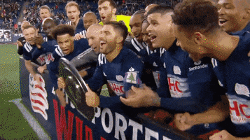 New England Mls GIF by Major League Soccer