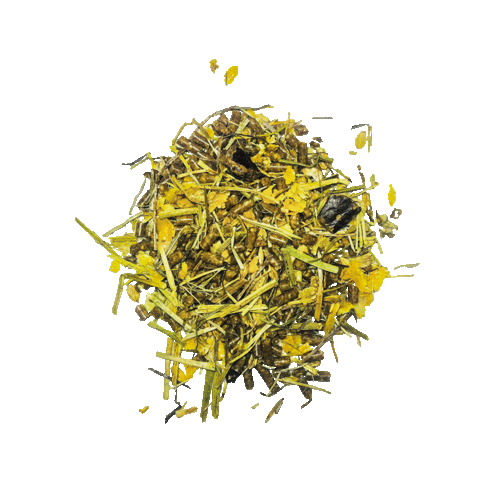 Equitation Sticker by Briganti Silver