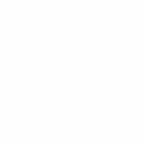 allisinco GIF