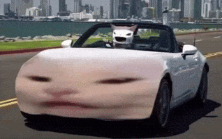 Nd Cat Miata Meme GIF