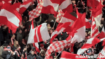 Energie Cottbus GIF by nlaktuell