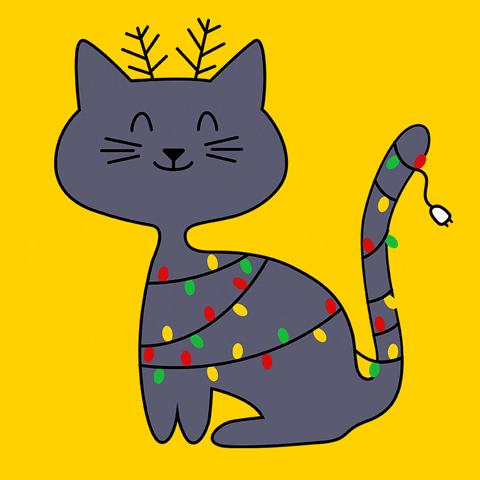 cat christmas GIF by Kochstrasse™