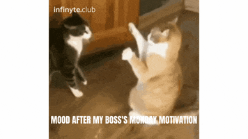 Mood Monday GIF by Infinyte Club