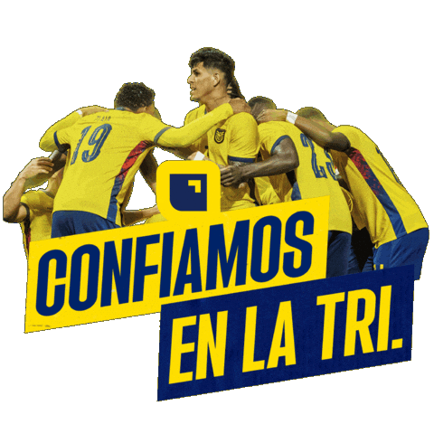 Ecuador Finanzas Sticker by Banco Pichincha