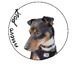 Diariodobby Sticker by Yebra Peluqueros