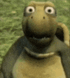 GIF