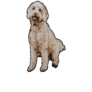 tHuisdiertje Sticker