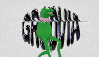 Groovia GIF by travel buggin