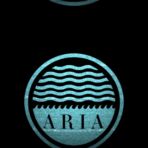 Aria GIF by mediaratz