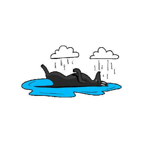 AnimalMX Sticker