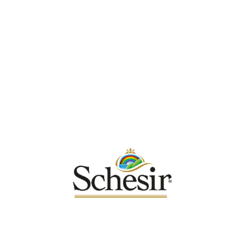 Schesir Sticker