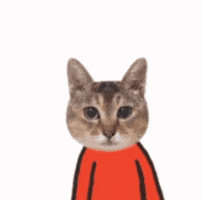 Mei Mei Cat GIF