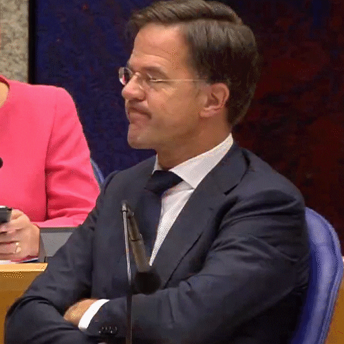 Mark Rutte Agree GIF by VVD