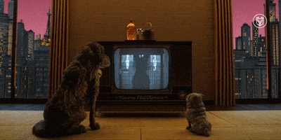 Wes Anderson News GIF by Searchlight Pictures