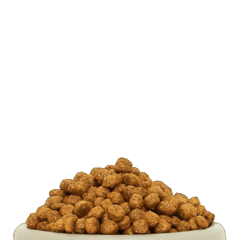 Super Premium Pet Sticker by Solito Alimentos