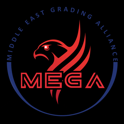 Graded GIF by MEGA