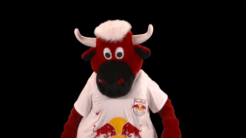 Giphy - Goal Celebrate GIF by FC Red Bull Salzburg