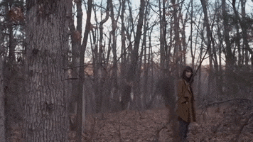 music video stare GIF by Polyvinyl Records