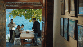 Maviye Sürgün GIF by Show TV