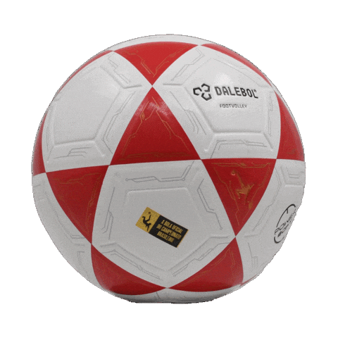 Bola Futevolei Sticker by Dalebol