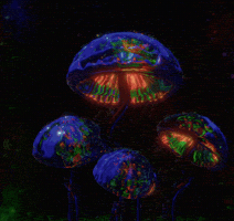 Magic Mushroom Rainbow GIF