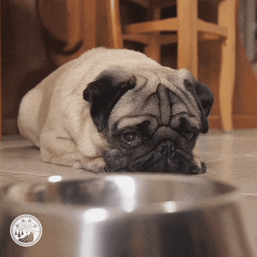 Dog Food GIF by Taste of the Wild