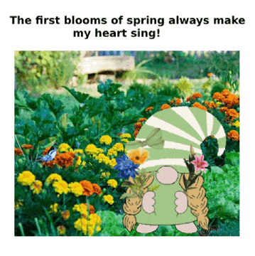 Flowers Gardening GIF - Find & Share on GIPHY