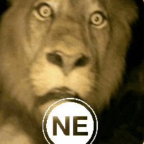 Ne GIF