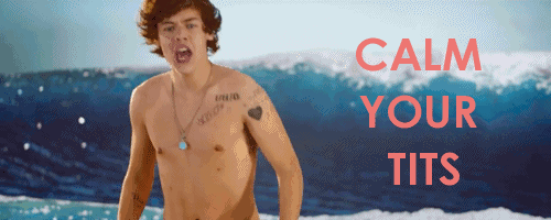 Our Harry Styles Calm your tits Harry