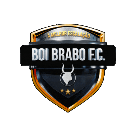 Futebol Escudo Sticker by Boi Brabo
