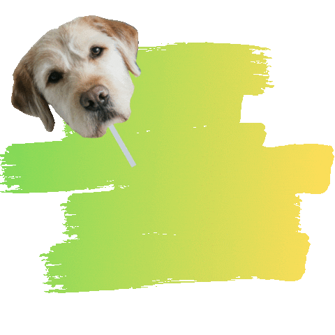 Party Pix Sticks Sticker