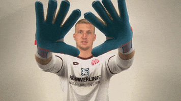 Robin Zentner GIF by 1. FSV Mainz 05