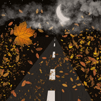 Fall Driving GIF by Sanne69