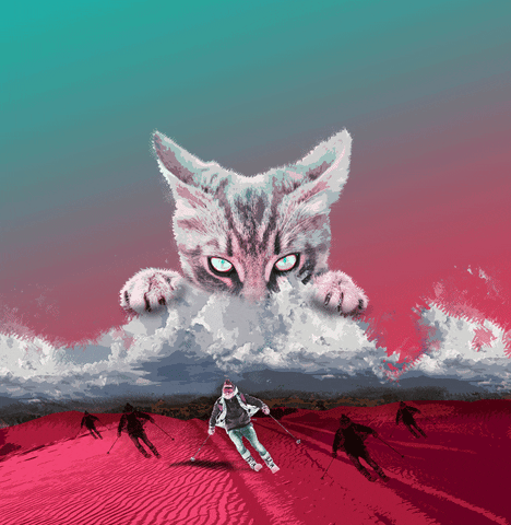 Cat Ski GIF by Rossignol