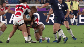 Rugby World Cup Japan GIF by World Rugby